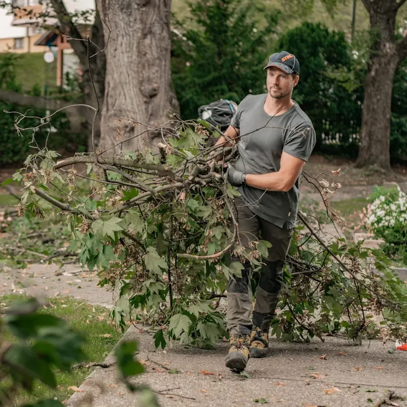 Abtransport Grundstücksarbeiten